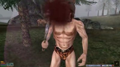Скриншоты из The Elder Scrolls III: Bloodmoon